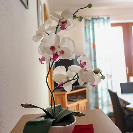 Appartement Toni