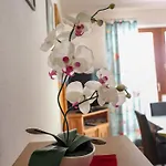 Apartment Toni